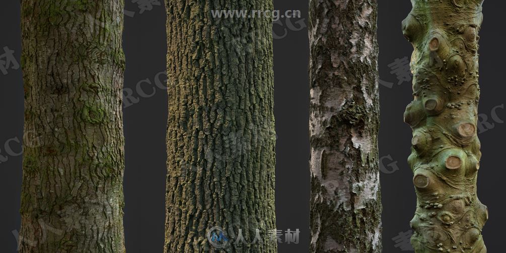 32组4k高精度树木树皮pbr纹理贴图合集第二季