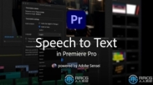 Adobe Speech to Text 2024视频对话自动添加字幕Premiere Pro插件V2.1.6
