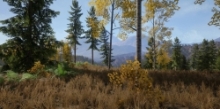 逼真高质量森林草地花朵岩石等环境场景UE游戏素材