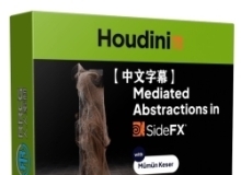 【中文字幕】Houdini震撼创意视效动画制作视频教程