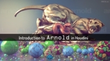 Arnold阿诺德渲染器Houdini插件V6.3.4版