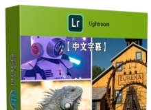 【中文字幕】Lightroom Classic照片快速修复小技巧训练视频教程