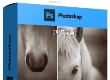 【中文字幕】Photoshop 2025全面核心技术训练视频教程