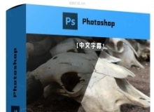 【中文字幕】Photoshop照片快速修复技巧视频教程