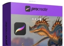 【中文字幕】Procreate 4.1在iPad Pro上数字绘画视频教程