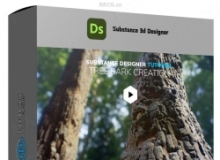 Substance Designer树皮材质实例制作视频教程