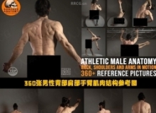 362张男性背部肩部手臂肌肉结构高清参考图合集