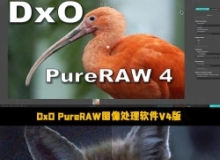 DxO PureRAW图像处理软件V4.7.0.46版