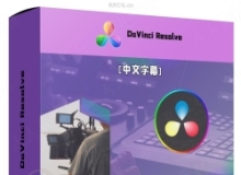 【中文字幕】DaVinci Resolve视频编辑初学者完全指南视频教程