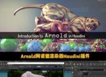 Arnold阿诺德渲染器Houdini插件V6.3.7版