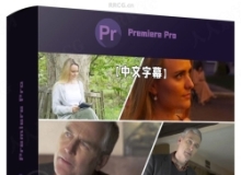 【中文字幕】Premiere Pro 2025视频编辑基础技能训练视频教程