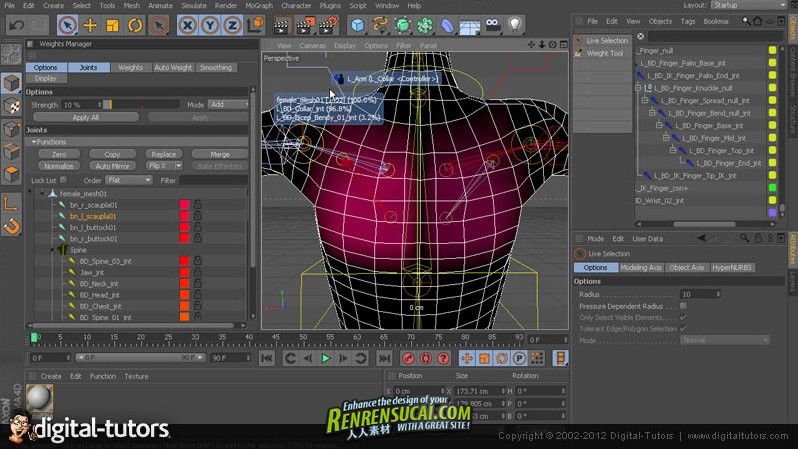 《C4D角色绑定教程》Digital-Tutors Creating Fast Rigs with the Character Objec...