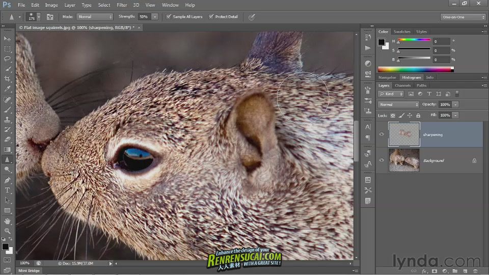 《Photoshop CS6一对一中级教程》Lynda.com Photoshop CS6 One-on-One Intermediate