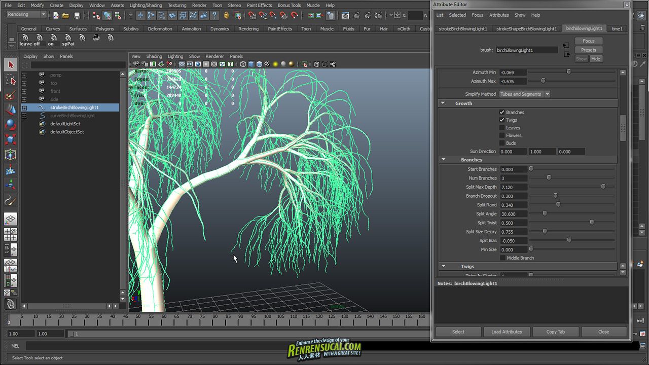 《森林制作技术3-Maya与PAINT EFFECTS中树木制作教程》The Gnomon Workshop Creati...