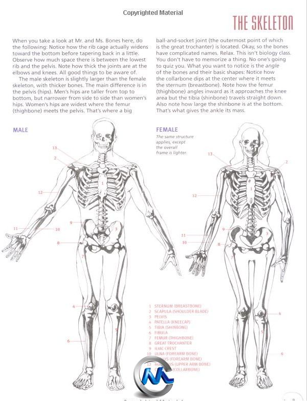 《漫画艺术家人物解剖参考书籍》Drawing Cutting Edge Anatomy The Ultimate Refer...