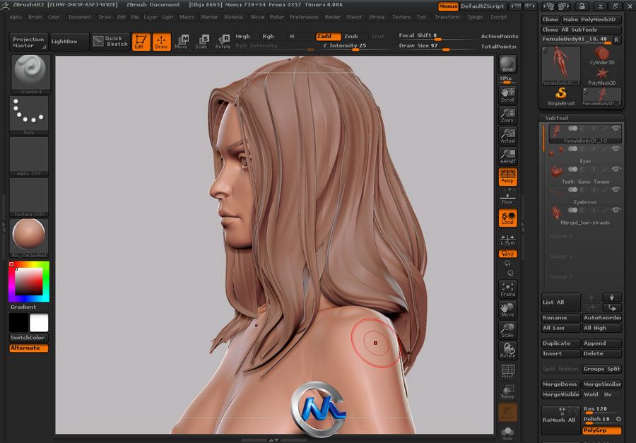 《Zbrush女性角色人体解剖绘制教程》Gnomon Human Anatomy Female UPDATED by Zack...