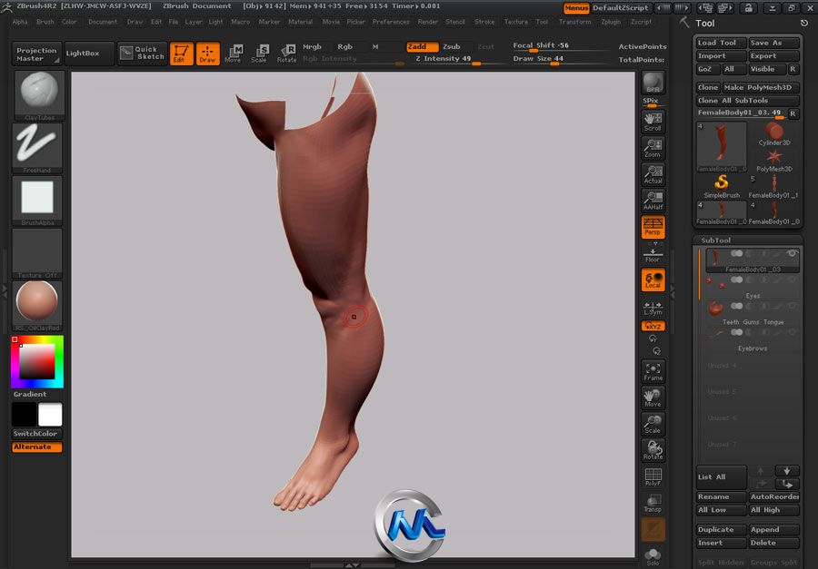 《Zbrush女性角色人体解剖绘制教程》Gnomon Human Anatomy Female UPDATED by Zack...