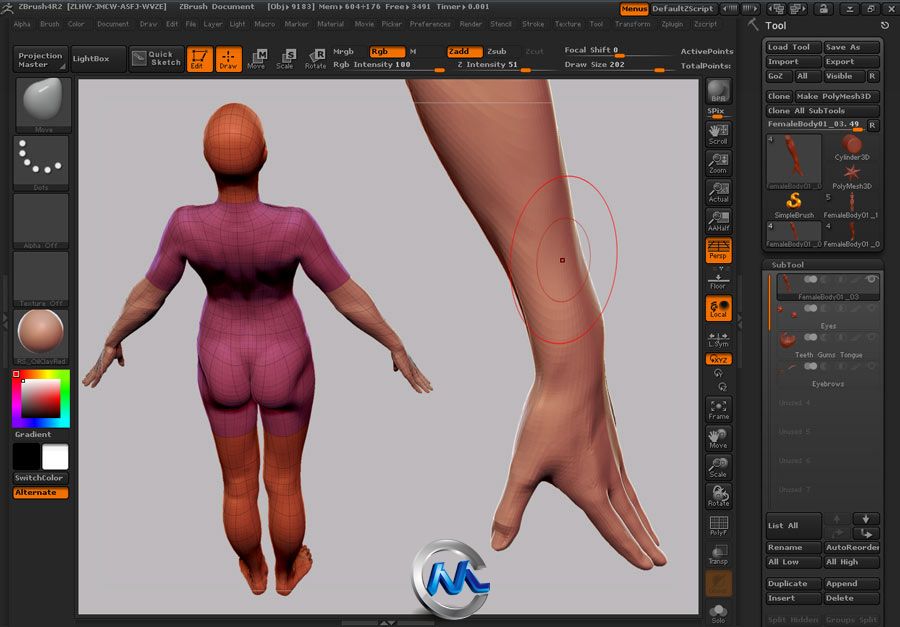 《Zbrush女性角色人体解剖绘制教程》Gnomon Human Anatomy Female UPDATED by Zack...