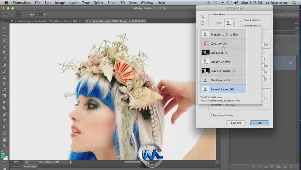 《Photoshop潜在秘密教程》CreativeLive Photoshop Deep Dive Selections Lesa Snider