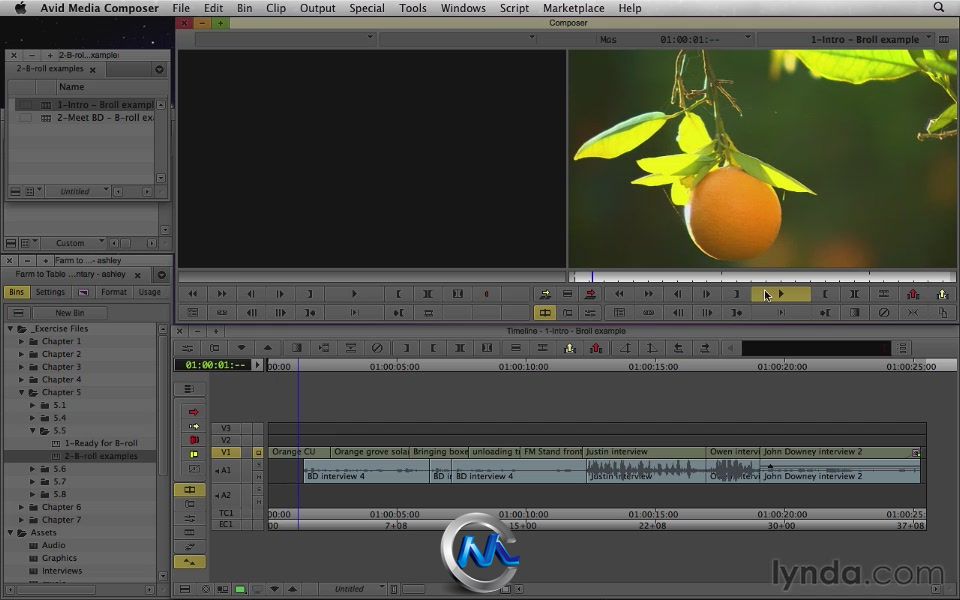 《Avid纪录片剪辑教程》Lynda.com Documentary Editing with Avid Media Composer