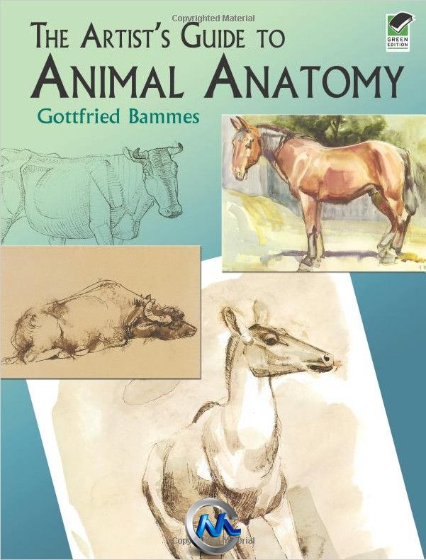 《动物解剖学手绘书籍》The Artists Guide to Animal Anatomy Dover Anatomy for A...