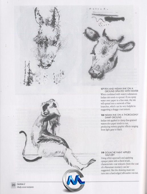 《动物解剖学手绘书籍》The Artists Guide to Animal Anatomy Dover Anatomy for A...