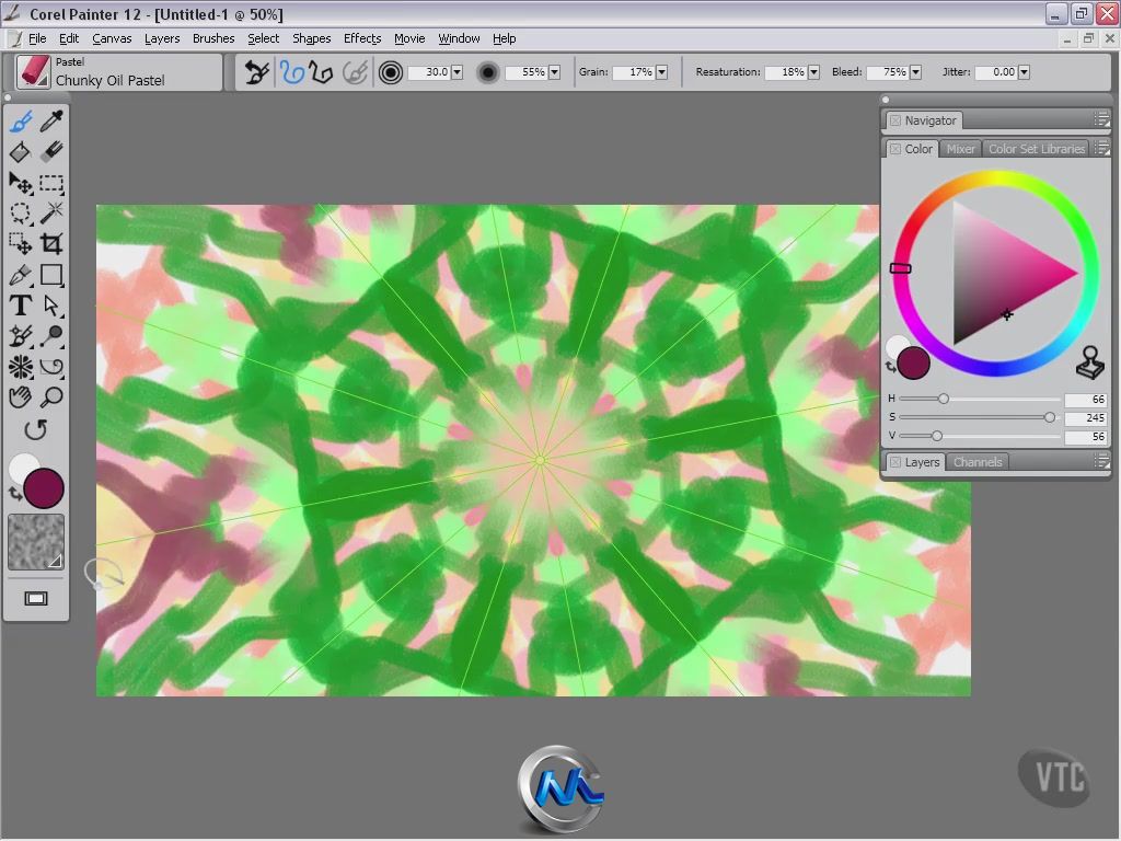 《Corel Painter 12基础训练视频教程》VTC Corel Painter 12