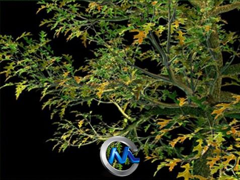 《树木植物插件V2012版》Onyx Tree Storm 2012 For 3Ds Max 2012