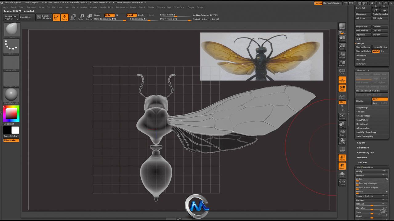 《超现实昆虫设计视频教程》The Gnomon Workshop Hyper real Insect Design with E...