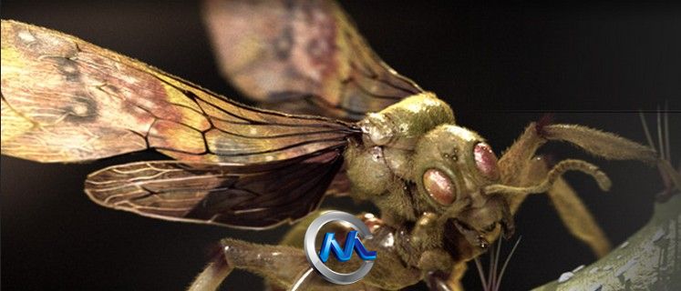 《超现实昆虫设计视频教程》The Gnomon Workshop Hyper real Insect Design with E...