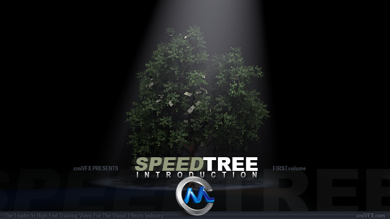 《SpeedTree树木制作入门视频教程》cmiVFX SpeedTree Introduction