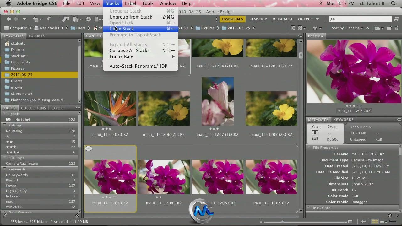 《Photoshop桥接技术视频教程》CreativeLive Photoshop Deep Dive Bridge with Les...