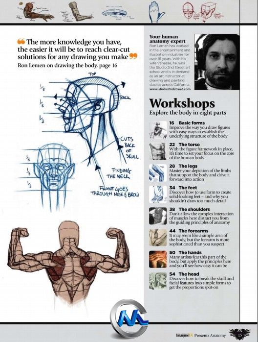 《生物解剖绘画书籍教程》ImagineFX Presents Anatomy 2010