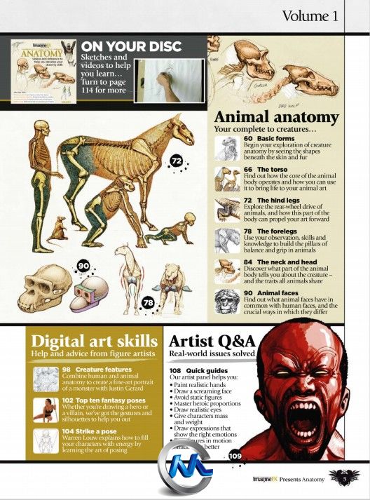 《生物解剖绘画书籍教程》ImagineFX Presents Anatomy 2010