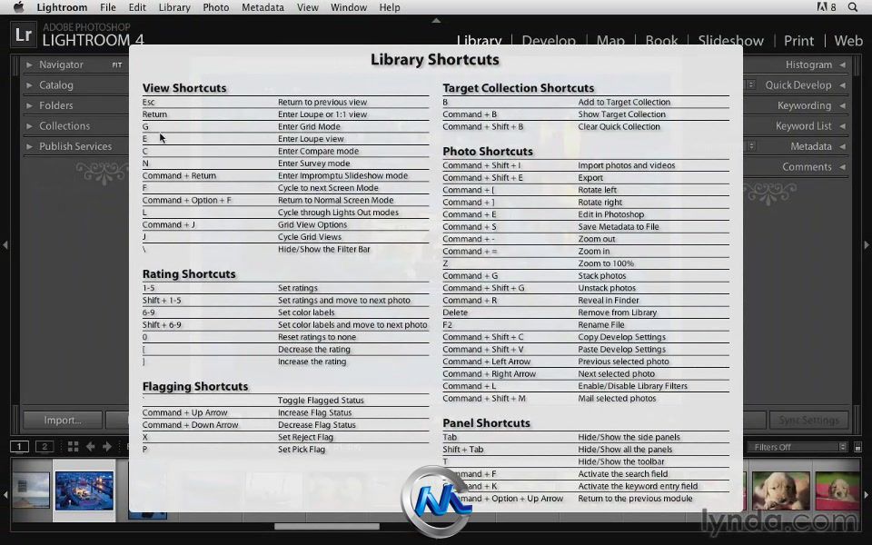 《Photoshop Lightroom 4快捷键使用视频教程》Lynda.com Photoshop Lightroom 4 Po...