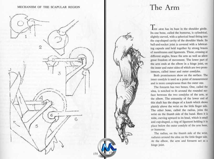 《人物解剖绘画指南书籍》Bridgman’s Complete Guide to Drawing from Life