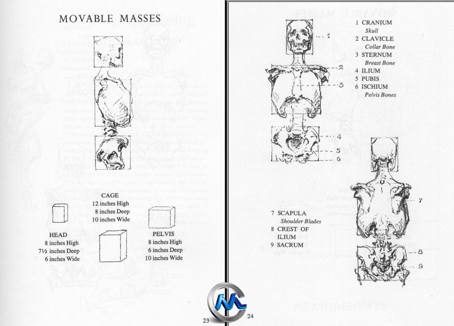 《人物解剖绘画指南书籍》Bridgman’s Complete Guide to Drawing from Life