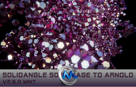 《Arnold照明系统破解版-Softimage版本V2.6》Solidangle Softimage to Arnold (Sit...