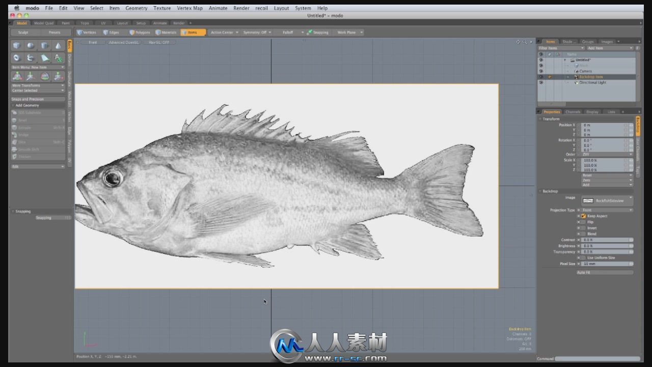 《Modo制作石斑鱼视频教程》Luxology Rockfish A Complete modo 601 Project