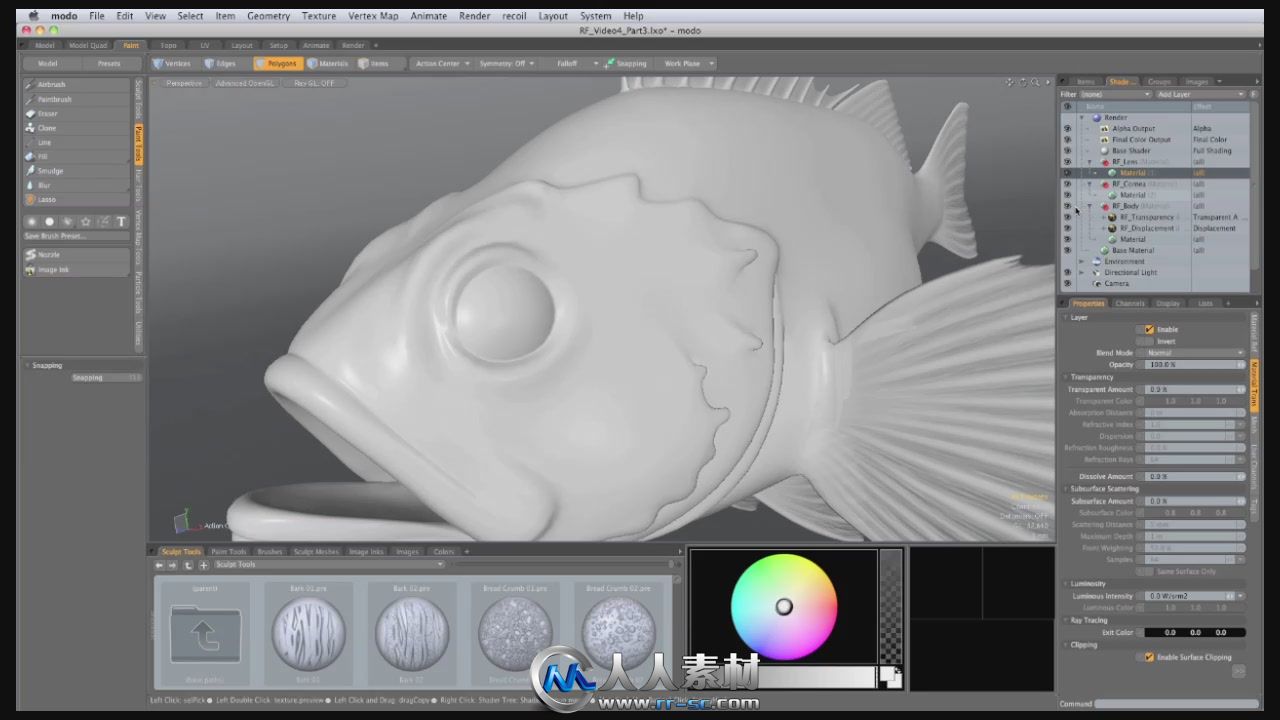 《Modo制作石斑鱼视频教程》Luxology Rockfish A Complete modo 601 Project