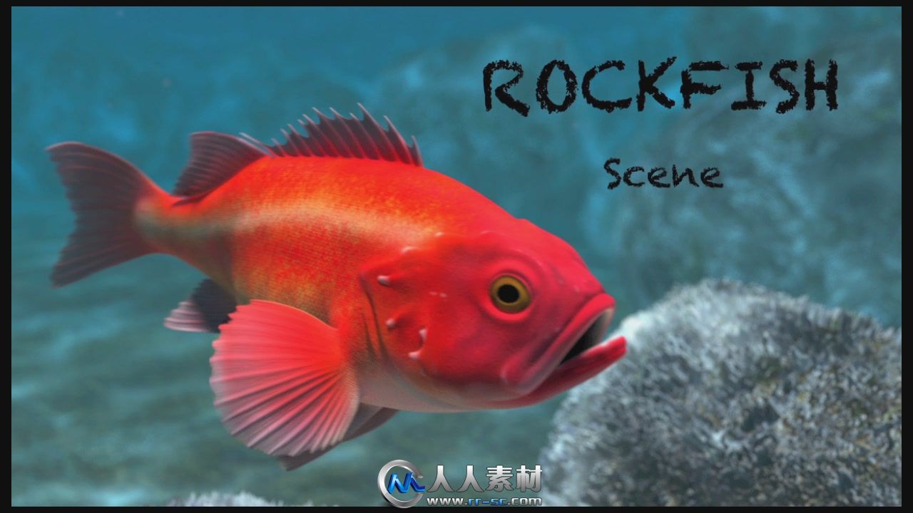 《Modo制作石斑鱼视频教程》Luxology Rockfish A Complete modo 601 Project