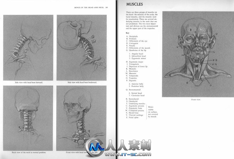 《人体结构解剖指南书籍》Anatomy A Complete Guide for Artists Dover Anatomy fo...