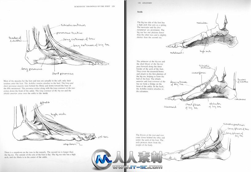 《人体结构解剖指南书籍》Anatomy A Complete Guide for Artists Dover Anatomy fo...