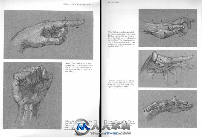 《人体结构解剖指南书籍》Anatomy A Complete Guide for Artists Dover Anatomy fo...