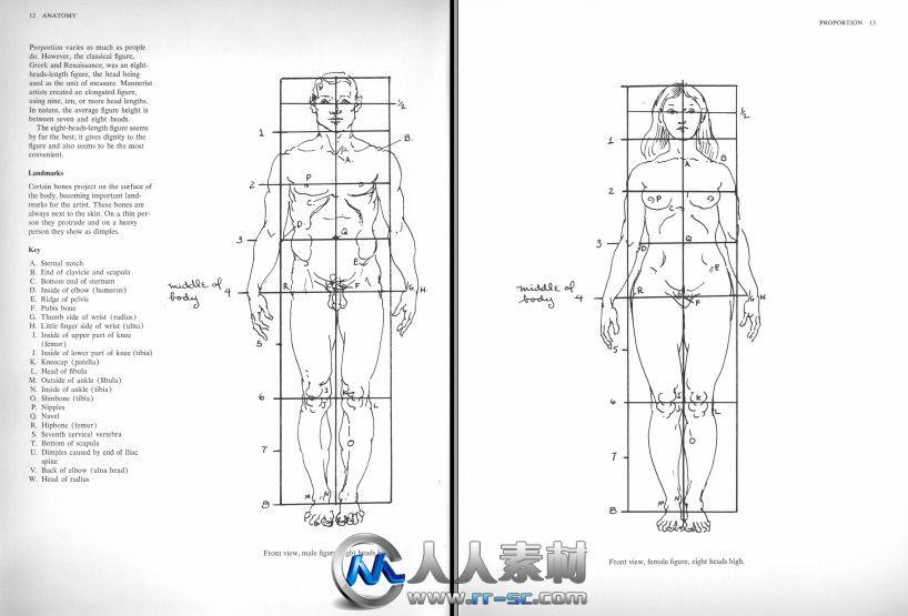 《人体结构解剖指南书籍》Anatomy A Complete Guide for Artists Dover Anatomy fo...