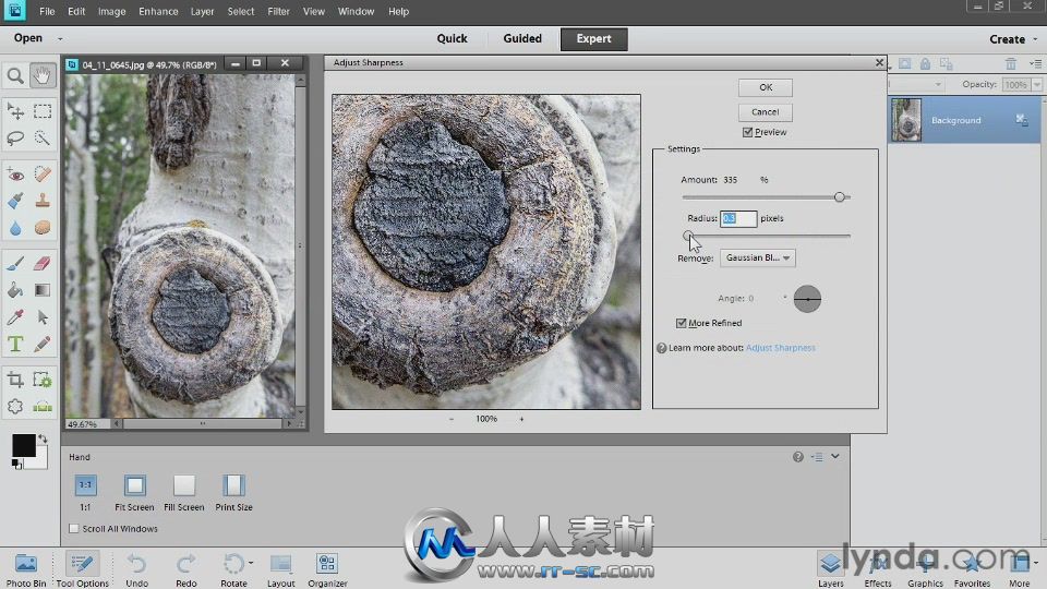 《Photoshop Elements 11基础入门视频教程之编辑与修饰》Lynda.com Photoshop Elem...