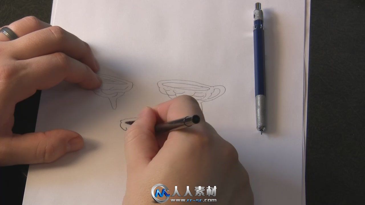 《PS与AI设计标志Logo视频教程》Tuts+ Premium Logo Design Fundamentals