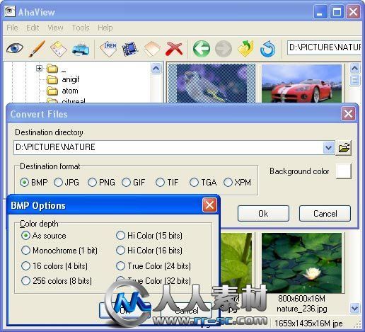 《图片浏览/转换器》(Aha-soft AhaView)v4.42[压缩包]