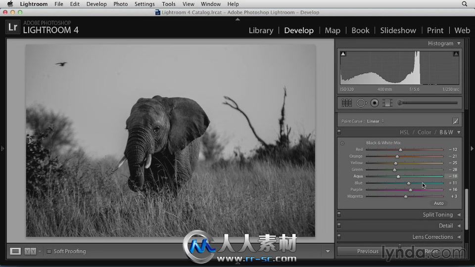 《Lightroom与PS色彩模式视频教程》Lynda.com Black and White with Lightroom and...