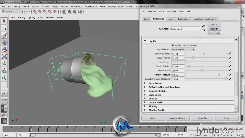Maya液体真实模拟视频教程 Lynda.com Liquid Simulation in Maya